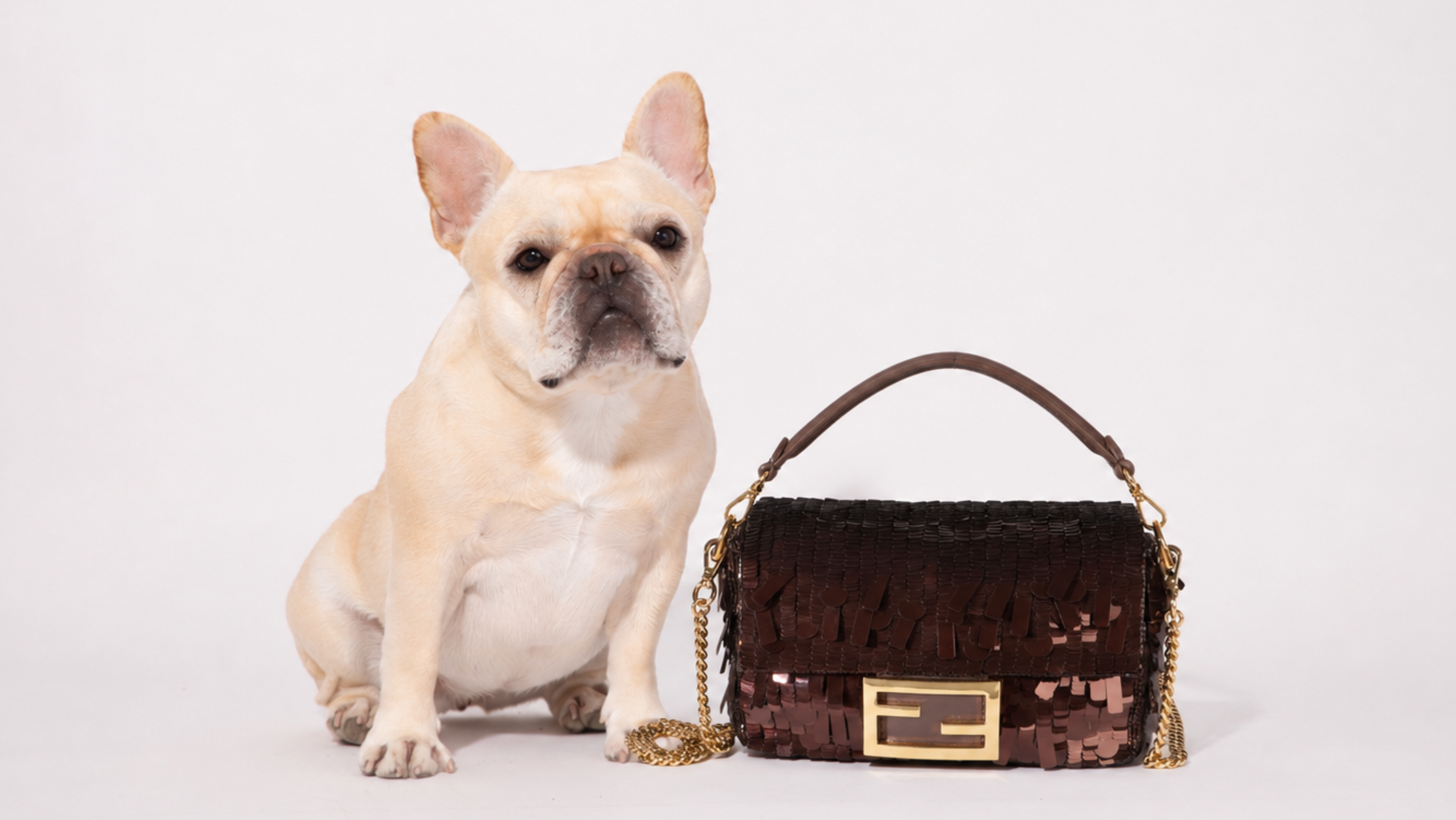 Brown sequin vintage Baguette bag and yellow french bulldog