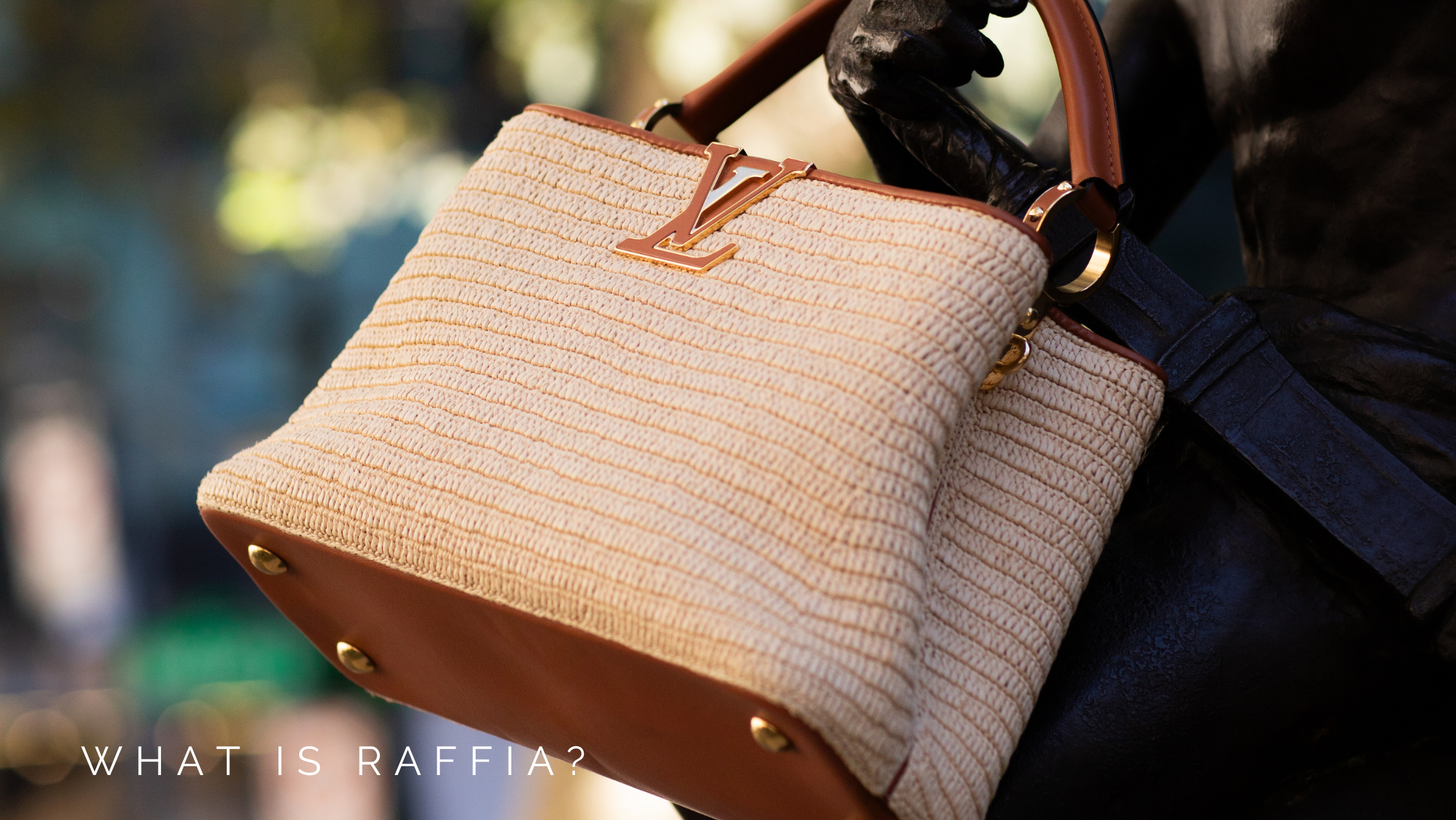 raffia LV bag