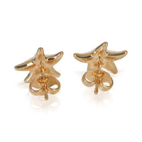 Tiffany & Co. Yellow Gold  Elsa Peretti Starfish Earrings pv