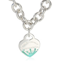 Tiffany & Co. Sterling Silver  Necklace fv