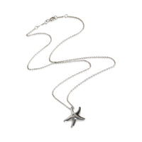 Tiffany & Co. Sterling Silver Diamond Elsa Peretti Starfish Pendant pv