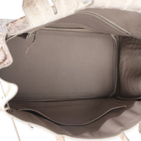 Hermès Blanc Matte Niloticus Crocodile Himalaya Birkin 30 PHW Handbag ad1